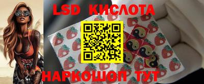 крисы Краснознаменск